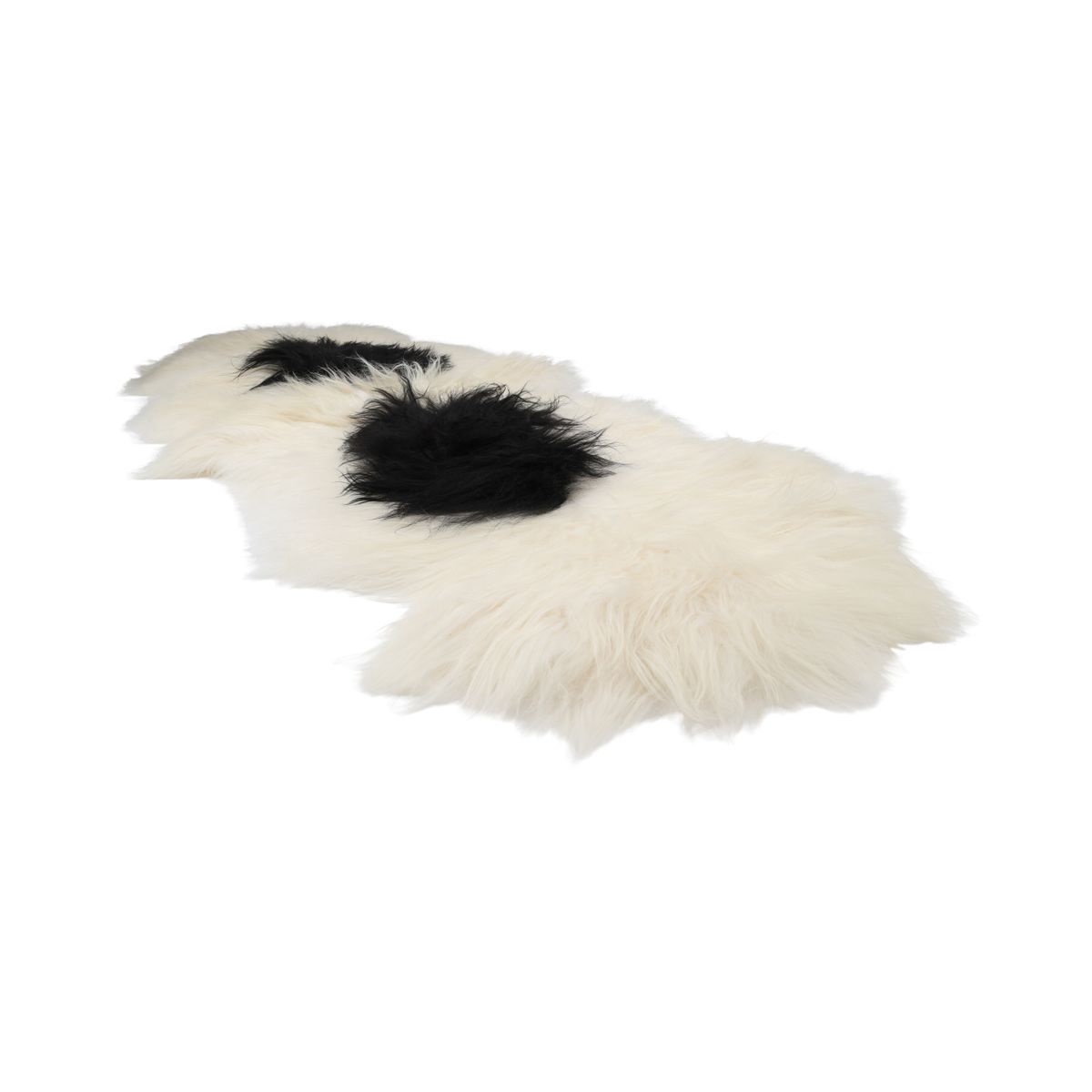 Icelandic Double Sheepskin | Natural Colors | Long Wool | 160 cm Spotted (White with Black Spots)