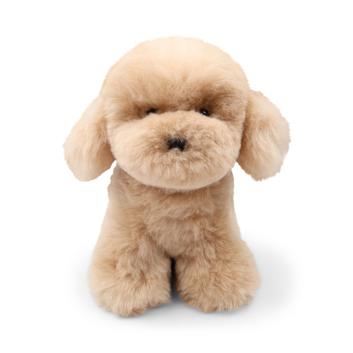 Teddybear Puppy | Icelandic Sheepskin Beige