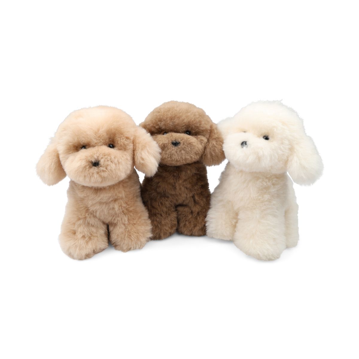 Teddybear Puppy | Icelandic Sheepskin