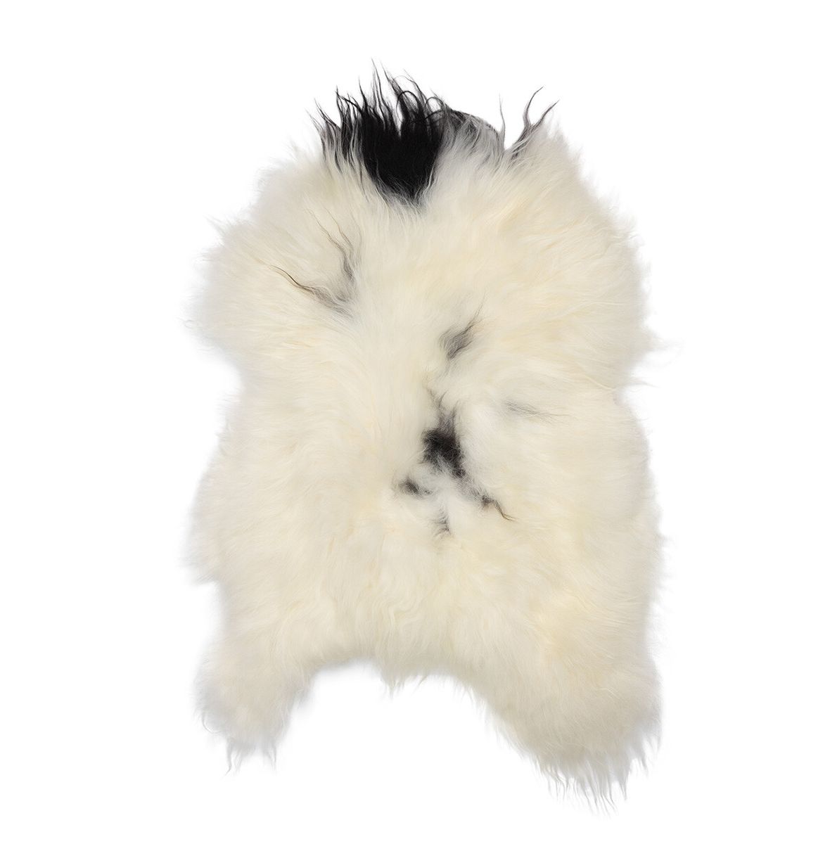 Icelandic Sheepskin | Natural Colors | Long Wool | 100-120 cm Spotted