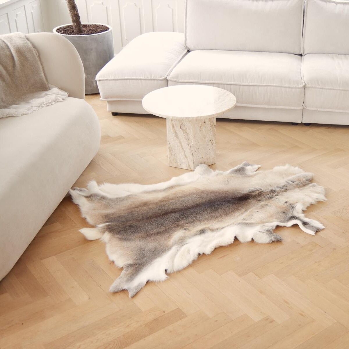 Reindeer Hide | 70x110 cm Natural