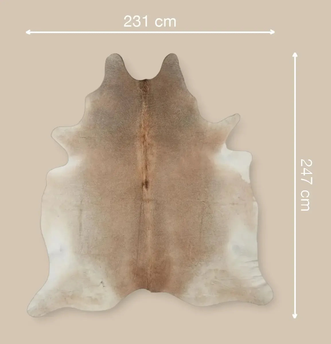 Cow Hide Rug | Grey Beige | 3,79 sqm Grey Beige