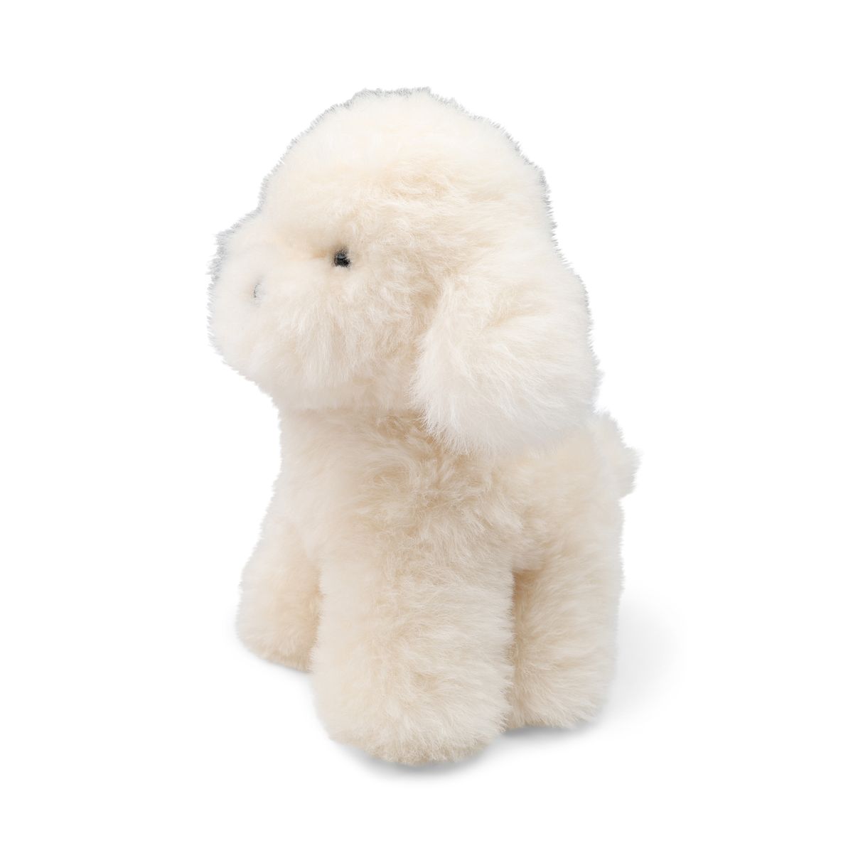 Teddybear Puppy | Icelandic Sheepskin White
