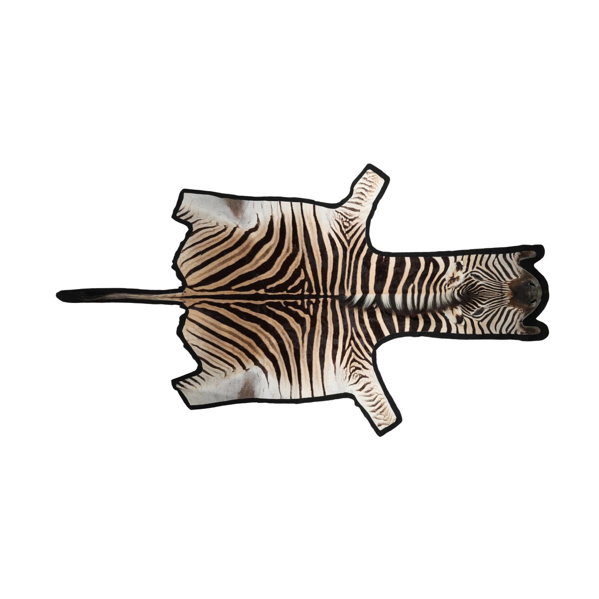 Zebra Hide | Premium Quality | South Africa