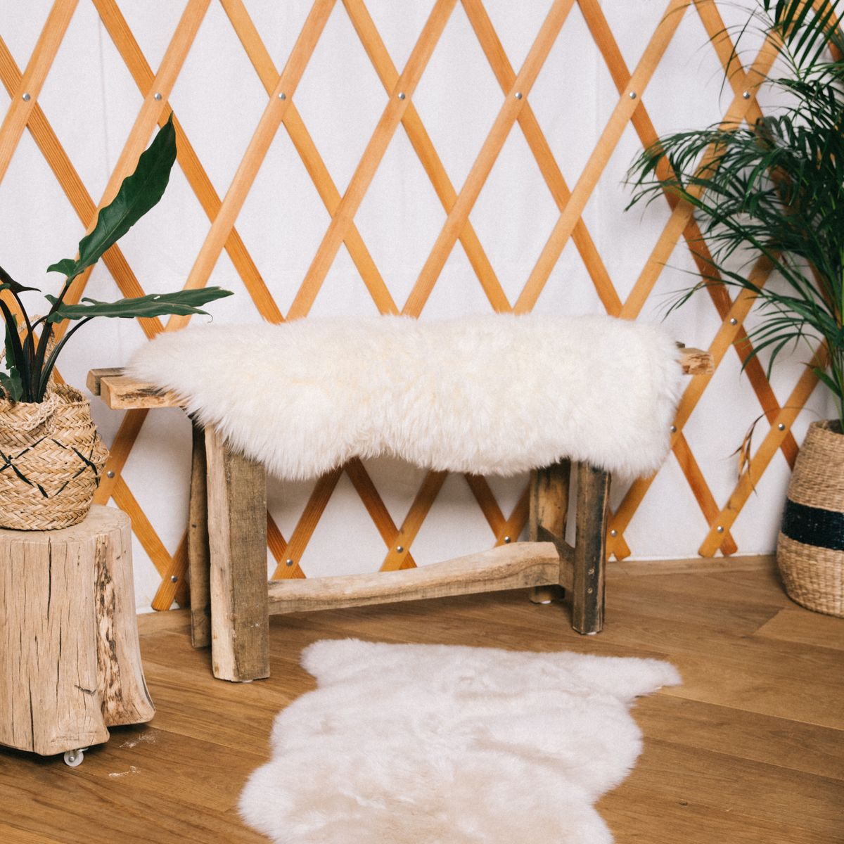 New Zealand Sheepskin | Long Wool | 100 cm Ivory