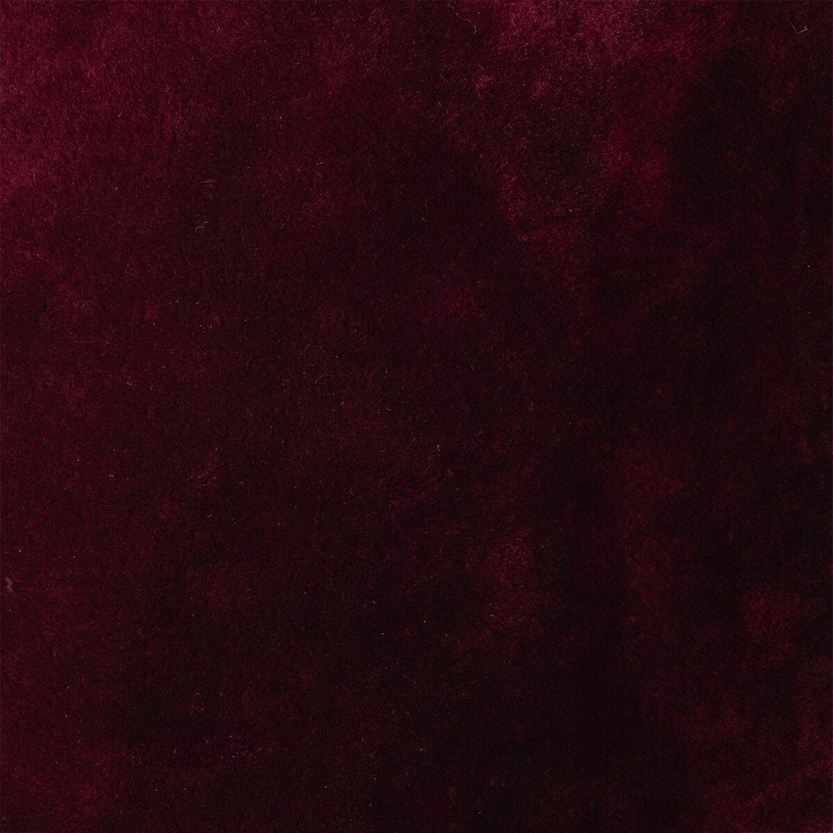 Addison Throw | Double Face Sheepskin | Short Wool Port Royal