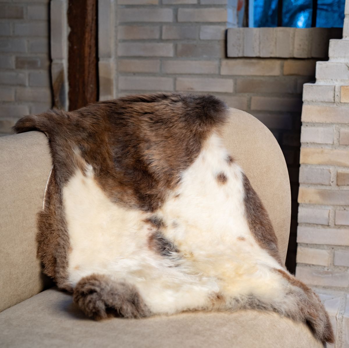 Himalayan Sheepskin | Short Wool | 95 cm Dark Spotted