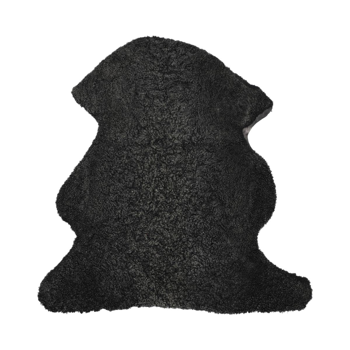 Jumbo Sheepskin | New Zealand | Premium Grade | Short wool Curly | 95 cm