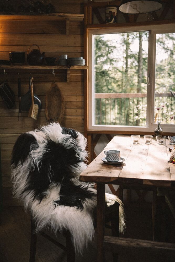 Icelandic Sheepskin | Long Wool | 90 cm Grey Brisa