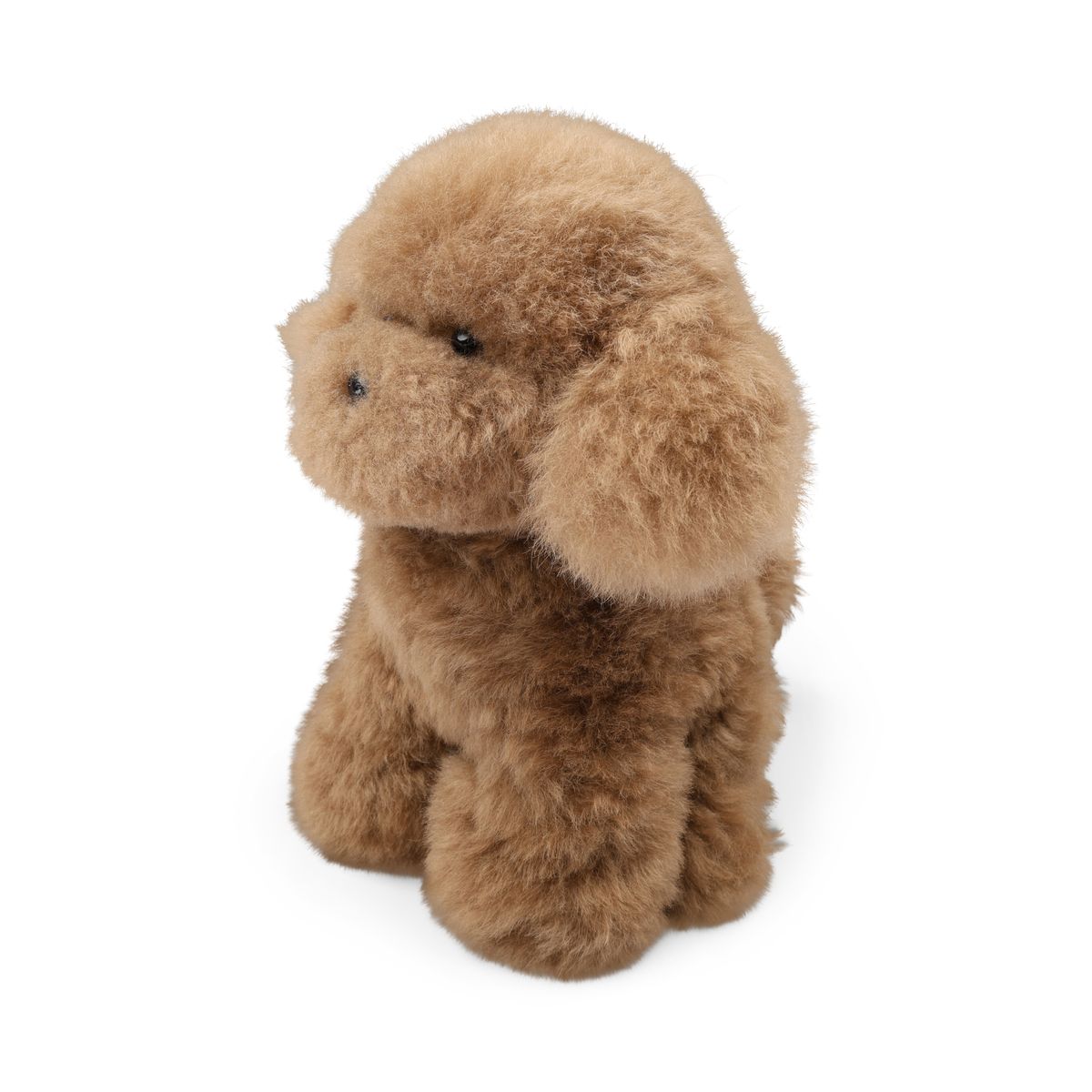 Teddybear Puppy | Icelandic Sheepskin Brown