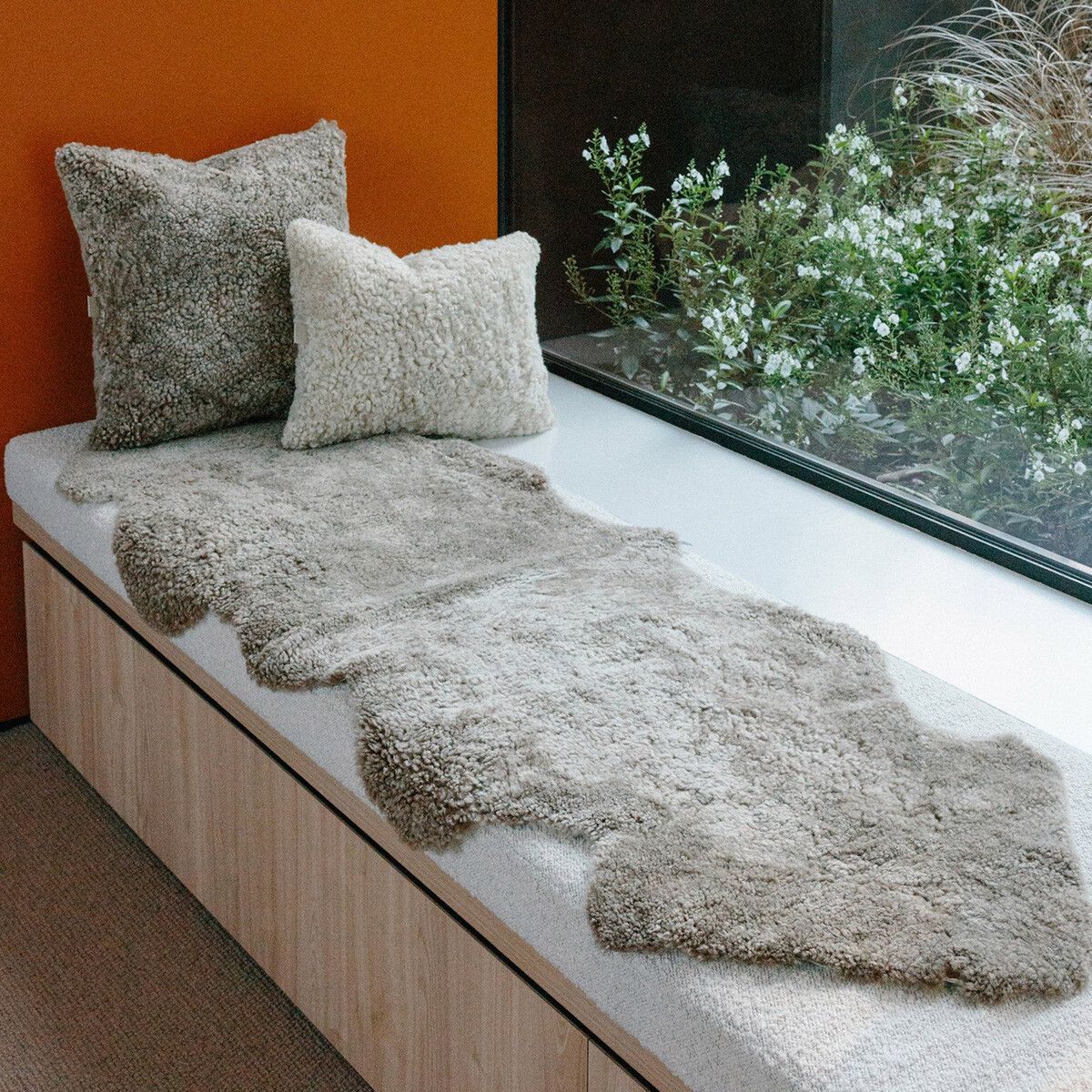 Double Sheepskin Rug | New Zealand | Short Wool curly | 170x60 cm Pearl