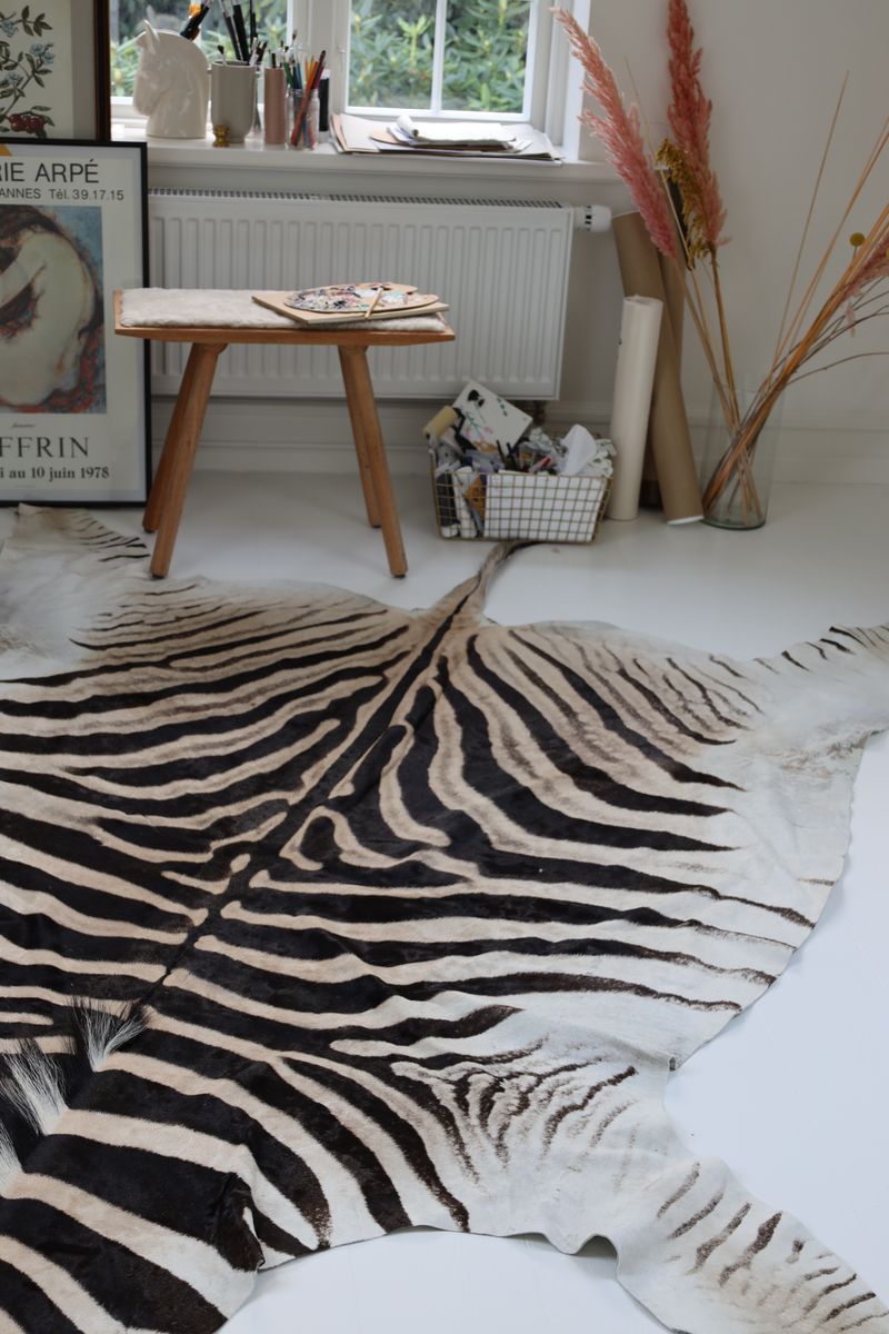 Zebra Hide Zebra
