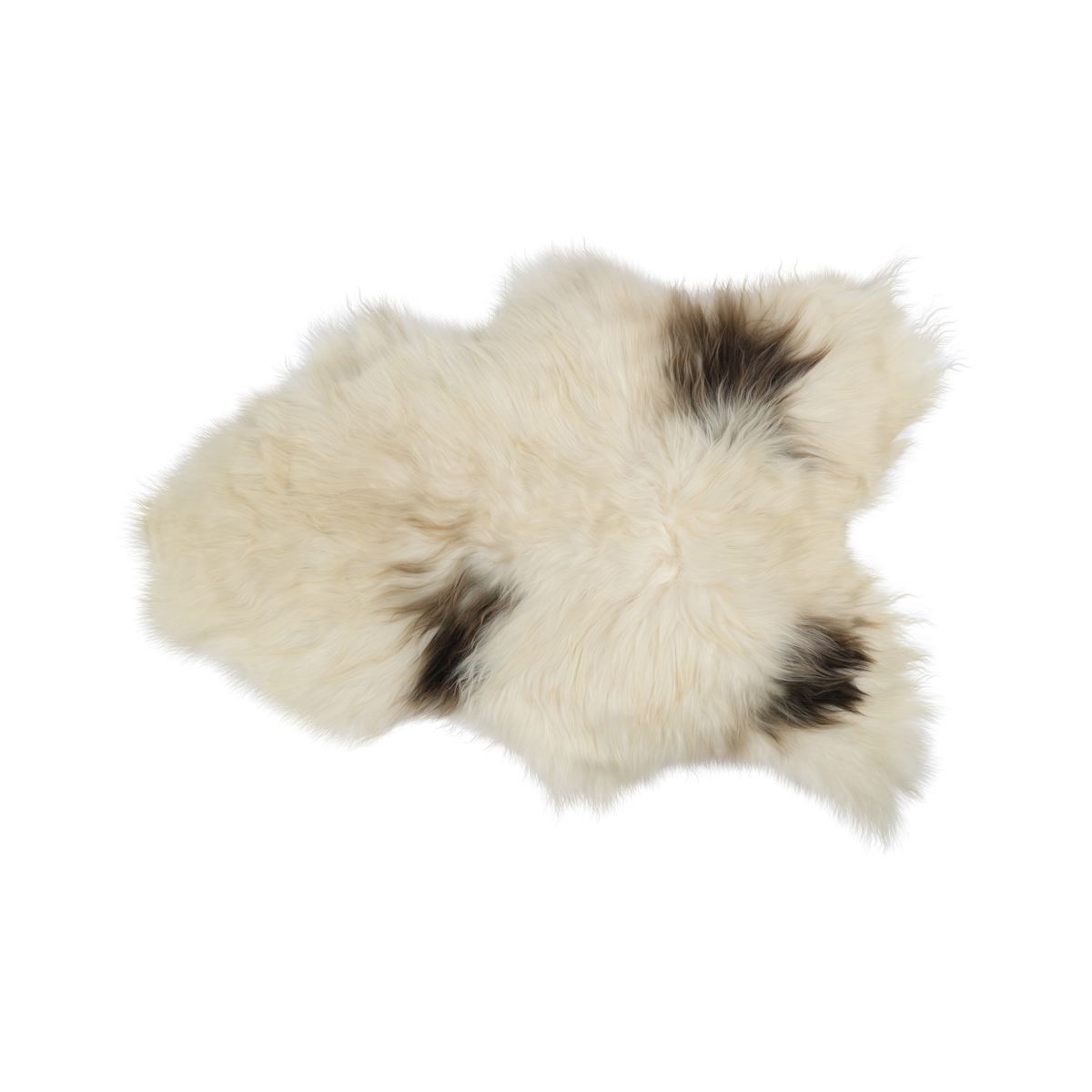 Icelandic Sheepskin | Dyed Colors | 100 + cm Art Spotted