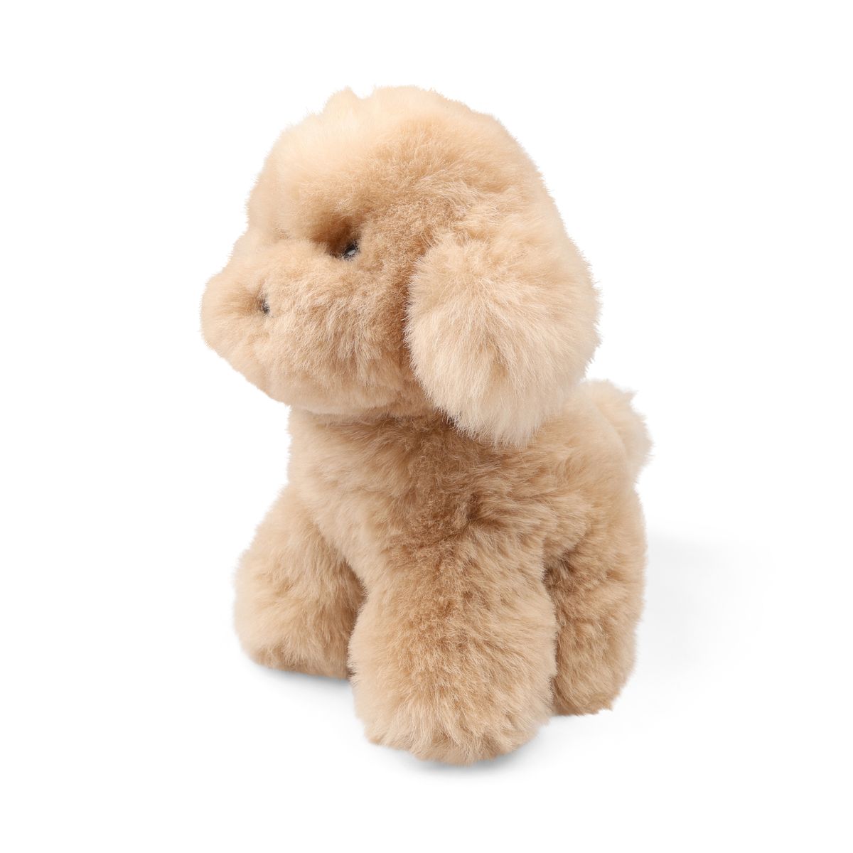 Teddybear Puppy | Icelandic Sheepskin Beige