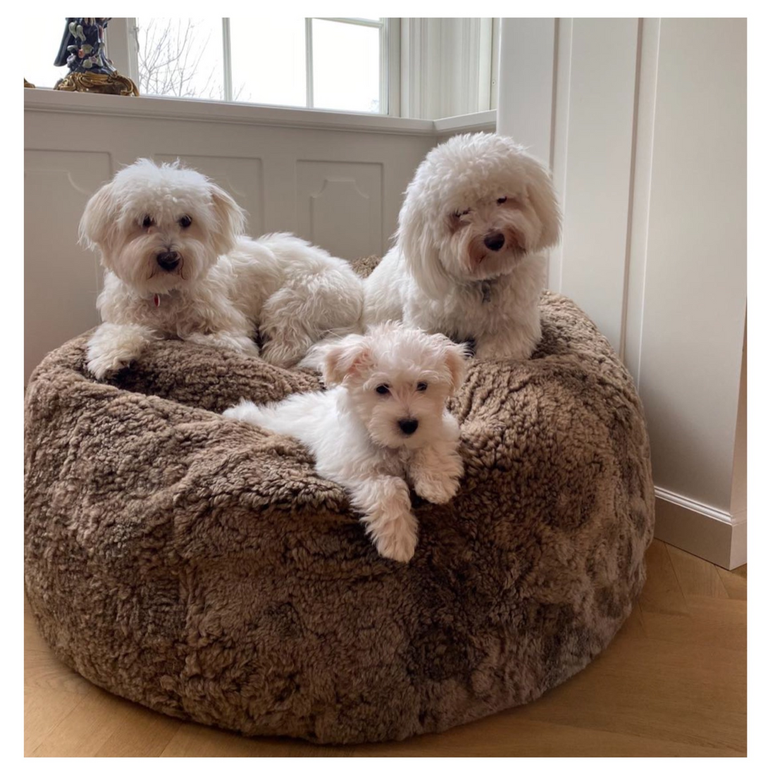 Sheepskinhouse.co.uk