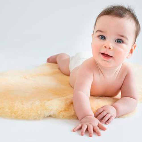 Sheepskinhouse.co.uk