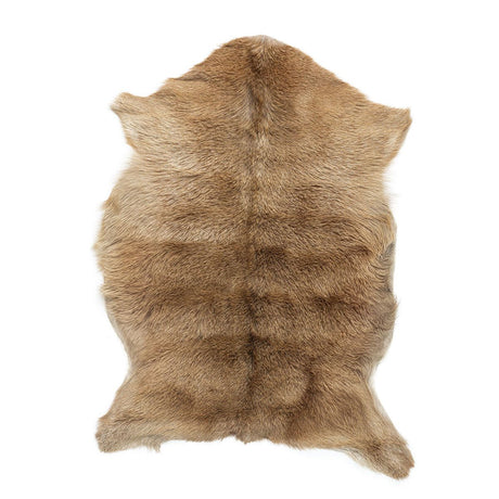 Premium Goat Skin | Short Wool Natural Light