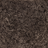 Short Wool Curly Sheepskin Shell Design Rug | 210x150 cm Cappuccino