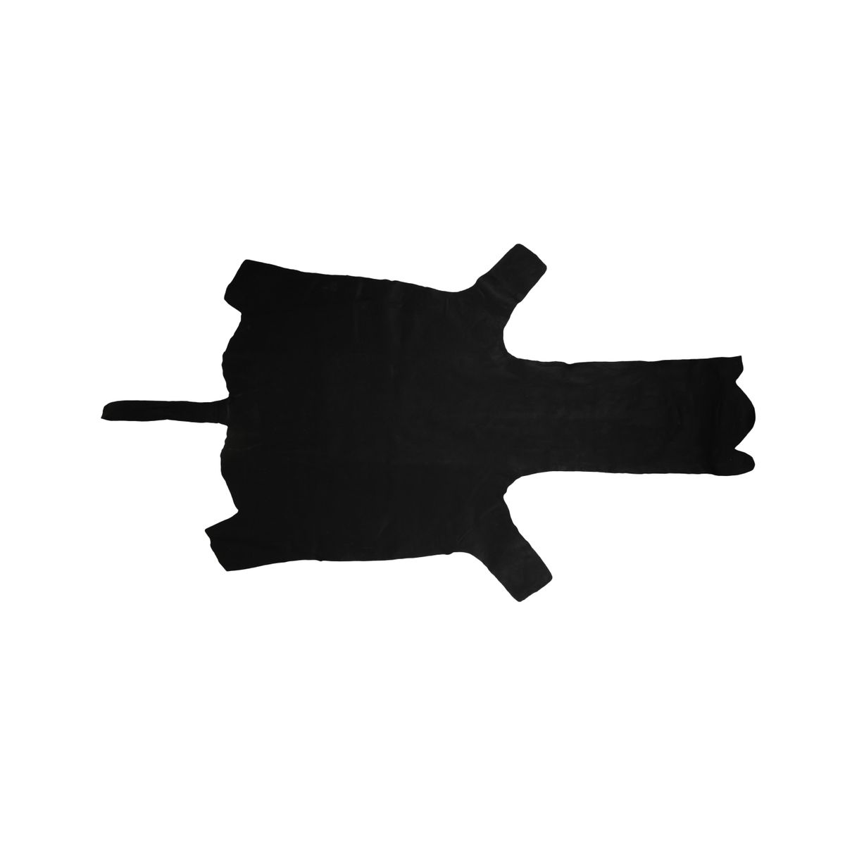 Zebra Hide | Premium Quality | South Africa