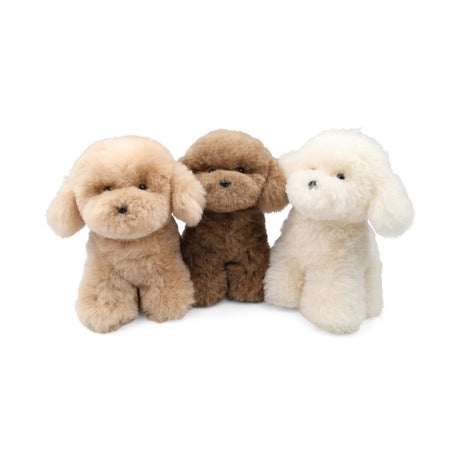 Teddybear Puppy | Icelandic Sheepskin