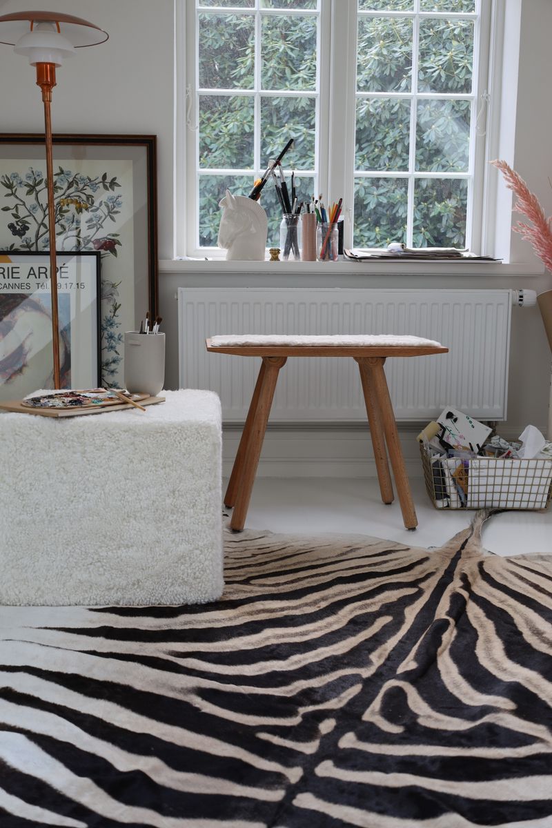 Zebra Hide Zebra
