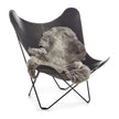 Icelandic Sheepskin | Natural Colors | Short Wool | 120+ cm Grey Brisa