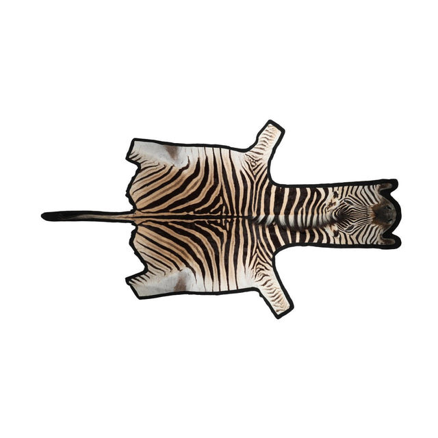 Zebra Hide | Premium Quality | South Africa