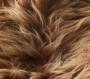 Theo Bench | Icelandic Sheepskin | 140x35x45 cm Rusty Brown