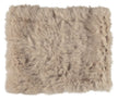 Lydia Collar