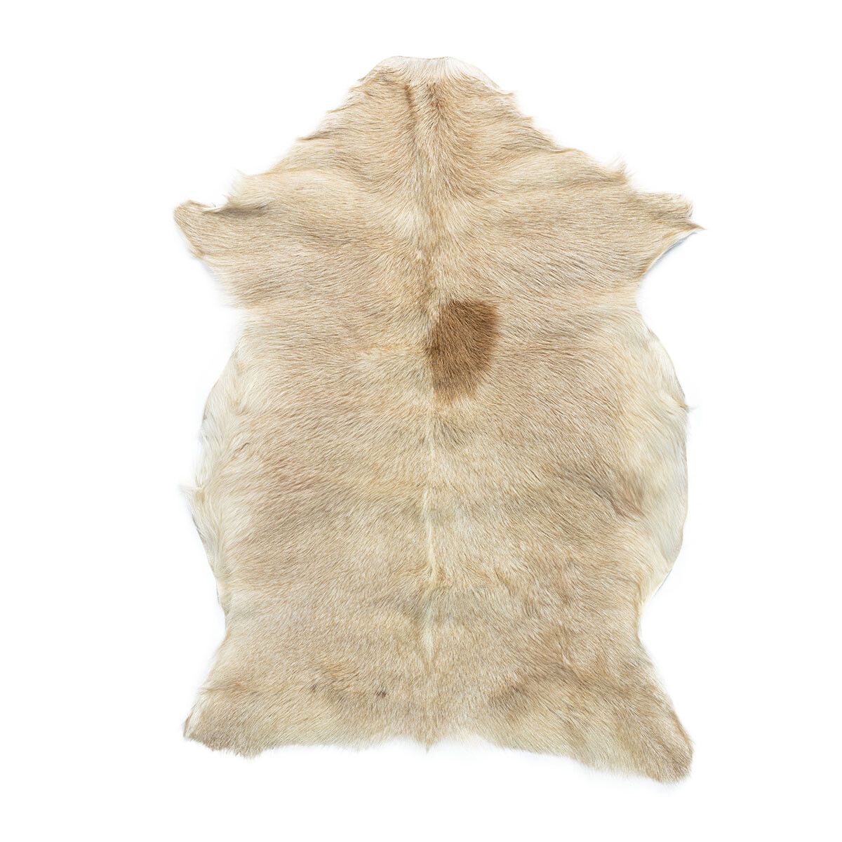 Premium Goat Skin | Short Wool