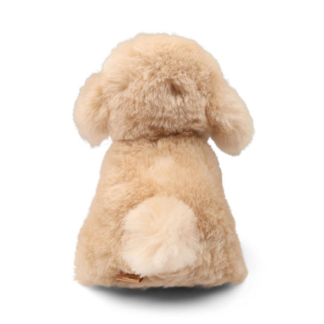Teddybear Puppy | Icelandic Sheepskin Beige