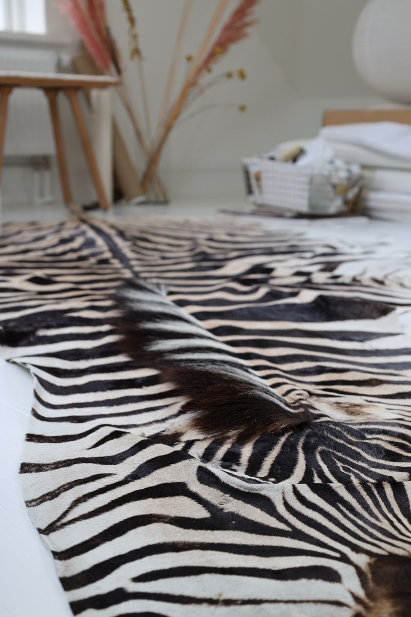 Zebra Hide Zebra