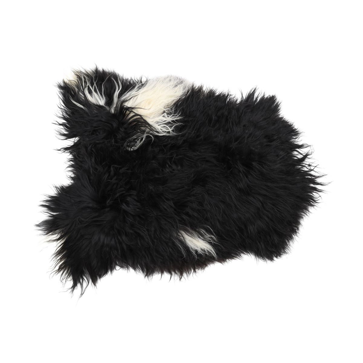 Icelandic Sheepskin | Natural Colors | Long Wool | 90 cm Spotted (Black with White Spots)