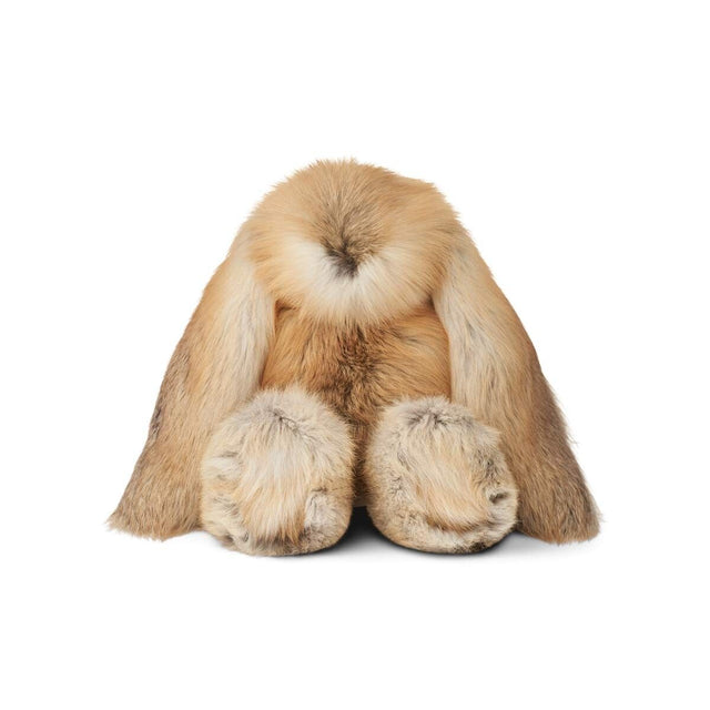 Teddy | Fox Gold Fox/Beige