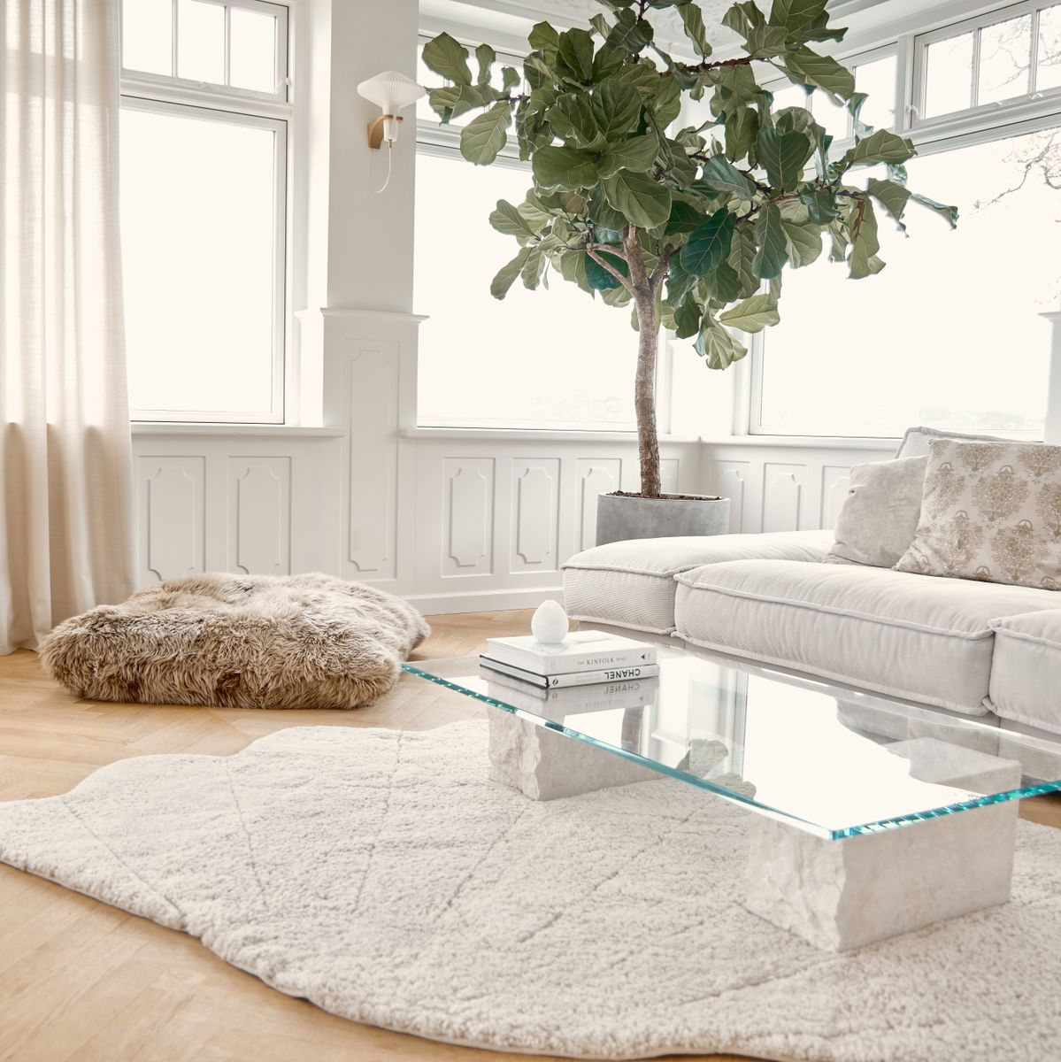 Short Wool Curly Sheepskin Shell Design Rug | 210x150 cm Anthracite