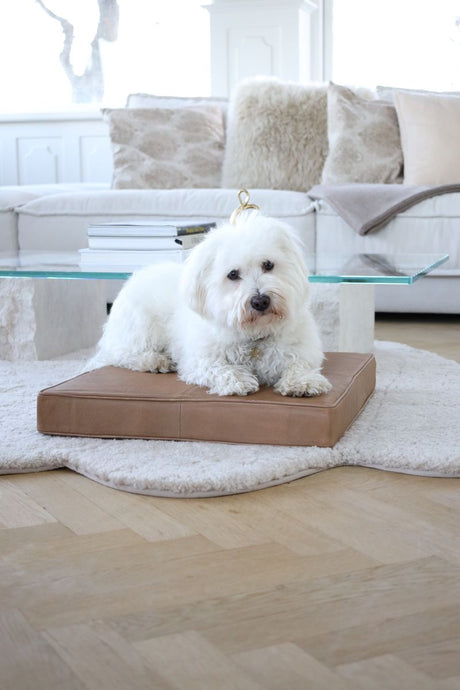 Calf leather Cushion | 50x50 cm Golden Tan