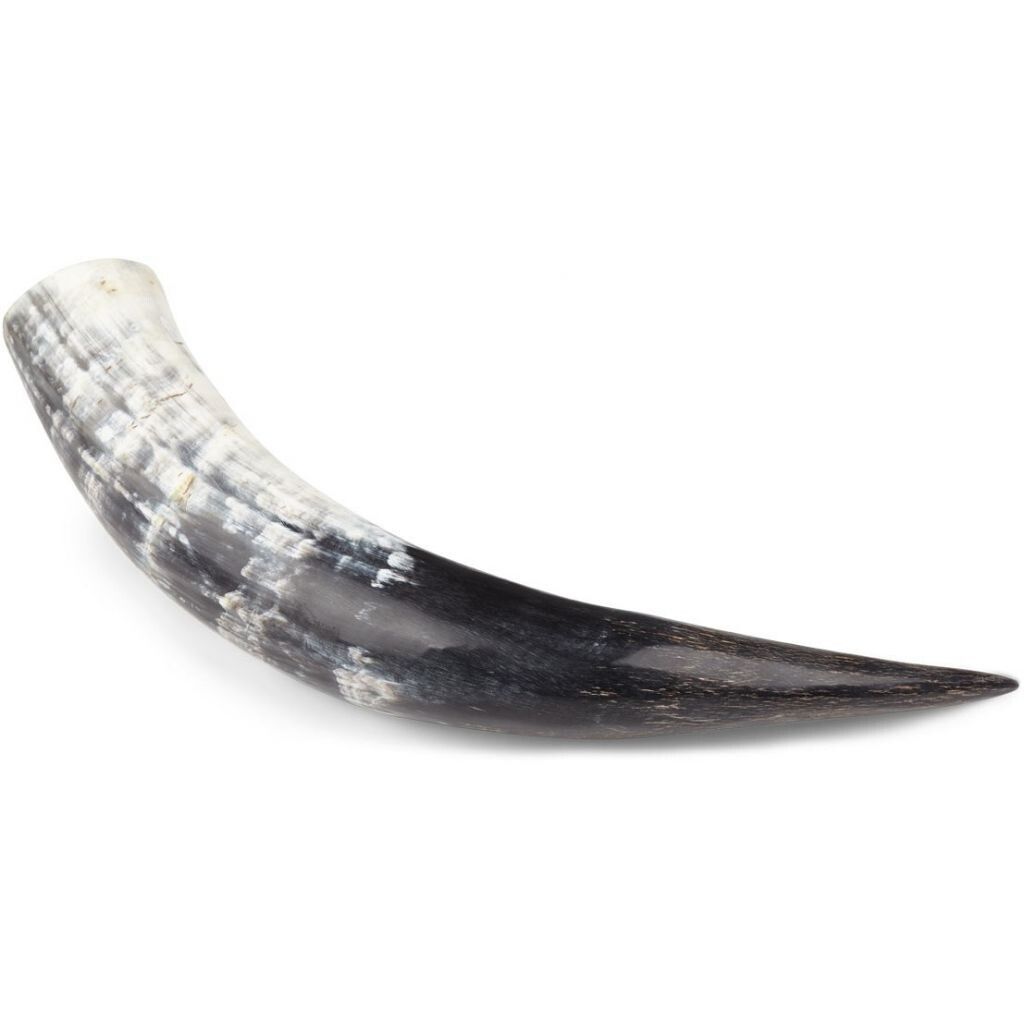 Horn Cow Polished | South Africa