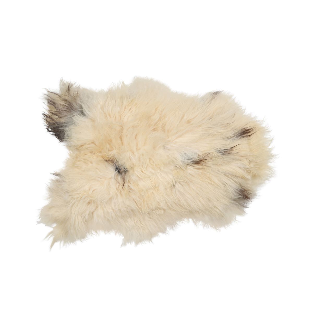 Icelandic Sheepskin | Natural Colors | Long Wool | 90 cm Spotted (White with Brown Spots)