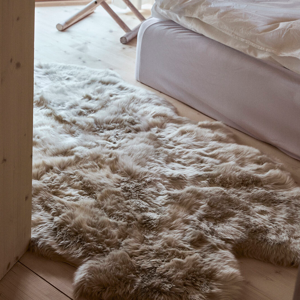Design Rugs & Carpets